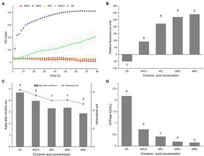 Phenotypic and Transcriptomic Analyses Reveal the Cell Membrane Damage of Pseudomonas fragi Induced by Cinnamic Acid